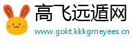 高飞远遁网